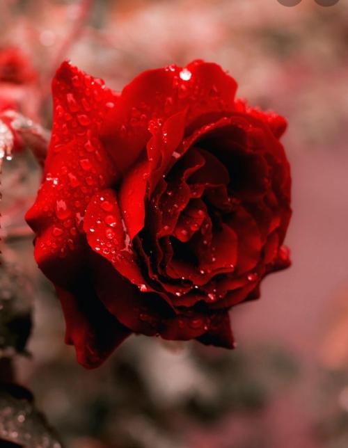 731db98f-2206-49ff-bde2-4f362852b75c