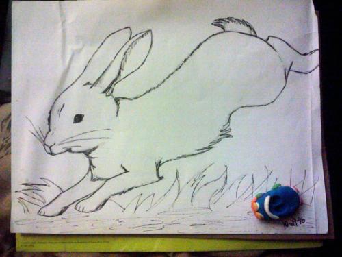 Rabbit Sketch