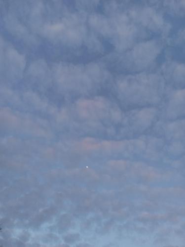 b35b733d-944f-4e7a-8c20-066747dde1a6