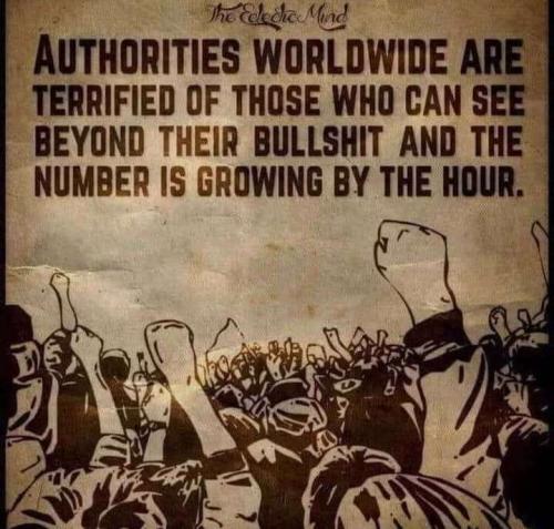 31380002-611b-4e1c-a553-f10c57adafa5