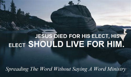 280143566_557130025818241_8275978609274283255_n