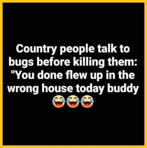 talking to bugs