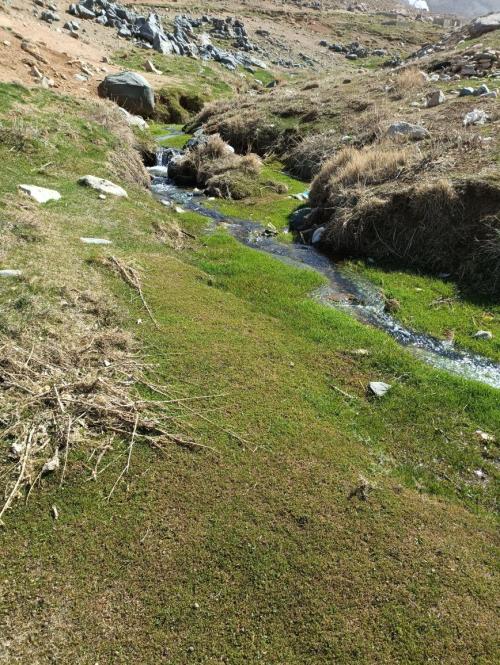 470bffa3-3aa3-475c-b99e-4a42105b9fd4