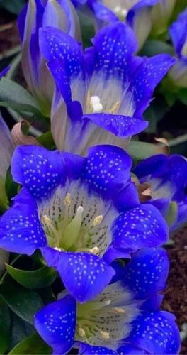 19:40:09 GMT-0500 (CDT)