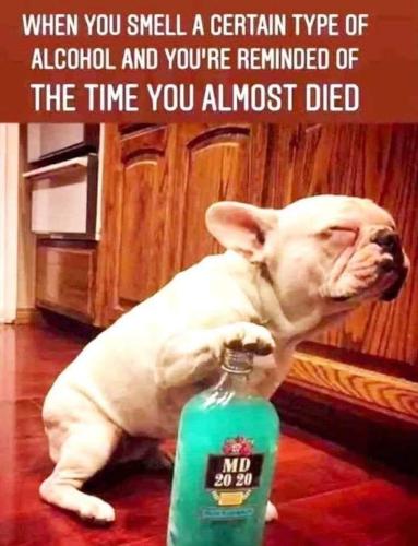 FB_IMG_1653673297960