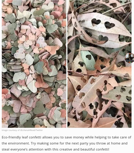 Screenshot_2022-05-07-23-13-04_kindlephoto-302737234