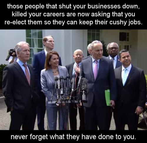 those people that shut your businesses down killed your careers are now asking that you re-elect them so they can keep their cushy jobs