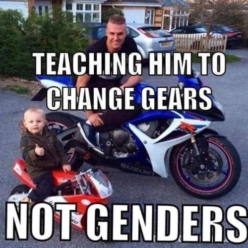 genders gears