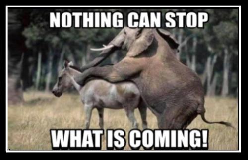 nothing can stop whats coming lol