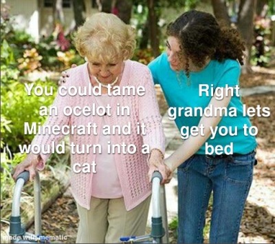 53b1d8_c9f2d2f0_400