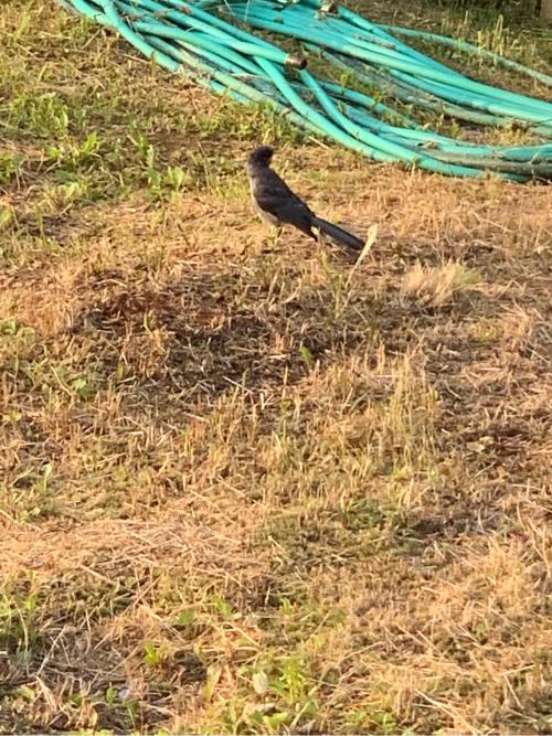 9DCFF2DB-C356-47EC-A538-CC9BBCAE7C1B