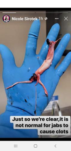 0097168e-11fc-4601-9357-fa0f51b00d60