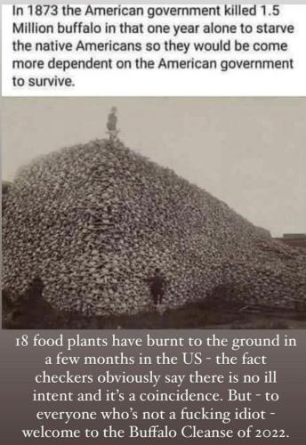 ACCFE7A5-AAC2-4CF7-B7BA-8CCB6D8597CA-87370-0000193D331116A4