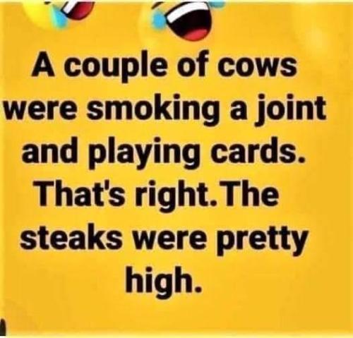 282563435_10221175257715881_2096517280421092971_n