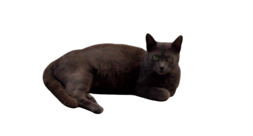 pizap__19_-removebg-preview