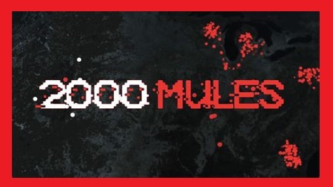 2000 mules