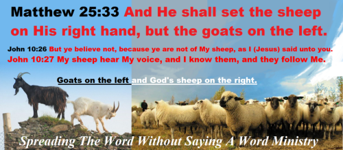 eb63da8b1322465f1e11bfb11fd01776_1024