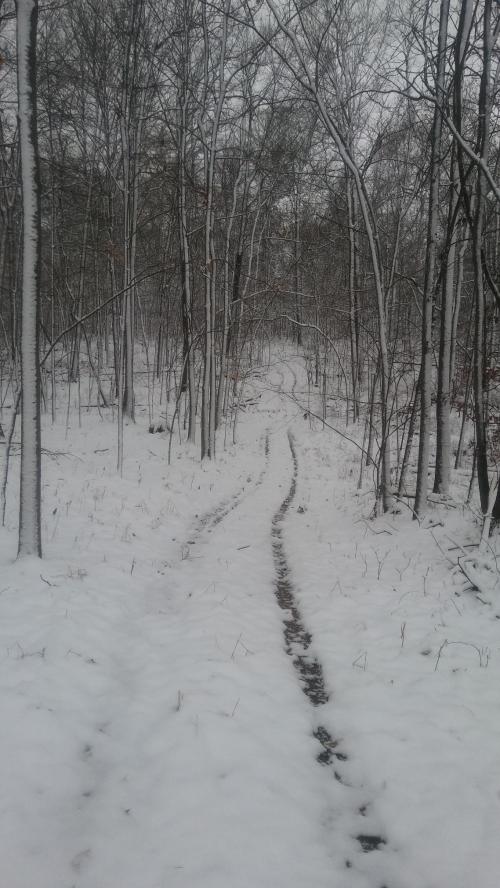 1076bff3-31b5-4b61-8ed9-320ef5335cf8