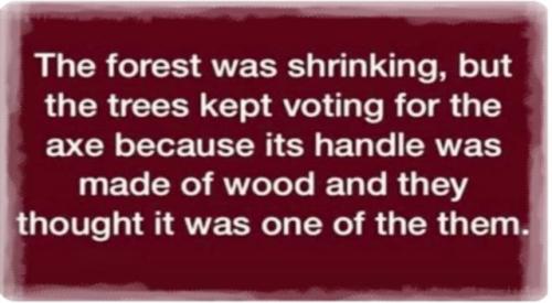 39c60fca-646c-4cf8-9427-168523845265