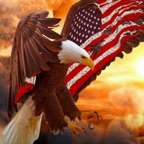 48f3211a-2238-4f94-89bc-7b79c8596ea7