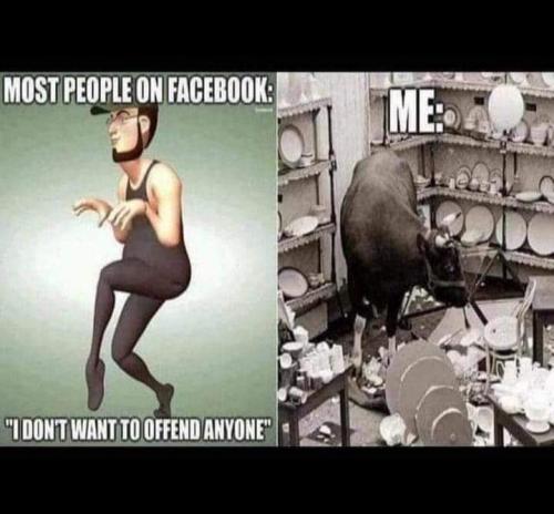 FB_IMG_1653698476137