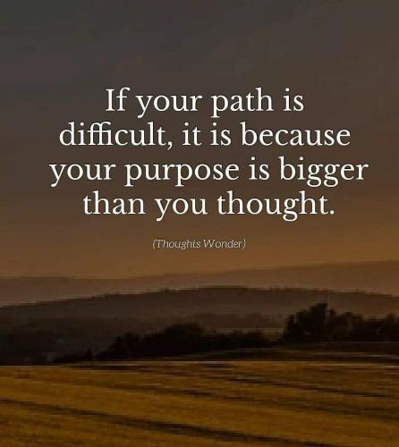 5e555fec-e842-4922-80a8-2385464f3383