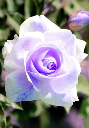 20:03:40 GMT-0500 (CDT)