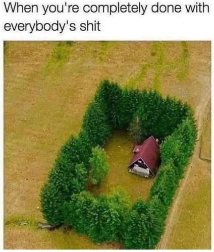 FB_IMG_1653671941523