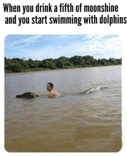 281222807_543137503830463_487944318268480995_n