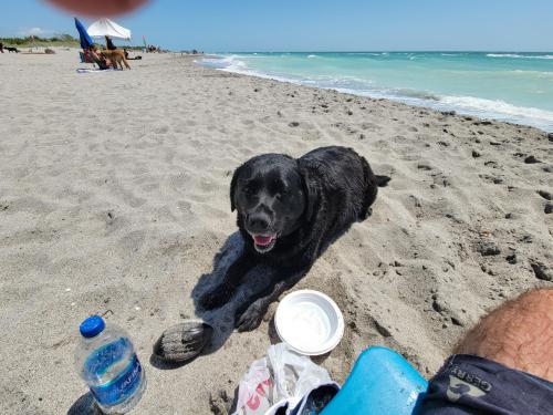 097008da-f543-4cb2-b3f2-def7d71decfc