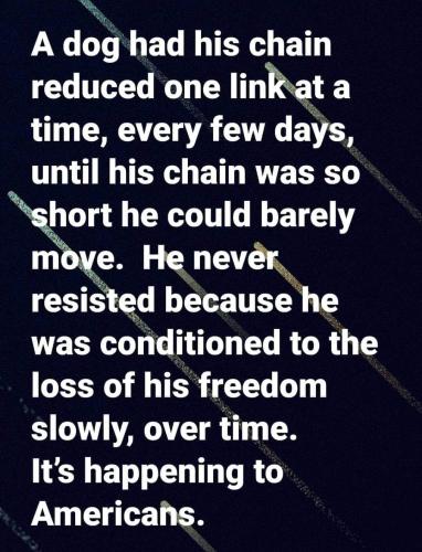 FB_IMG_1608100429162