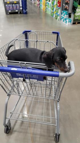 aefde2a7-5b2d-4e39-a903-bcf1bd939af0