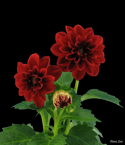 20:19:05 GMT-0500 (CDT)