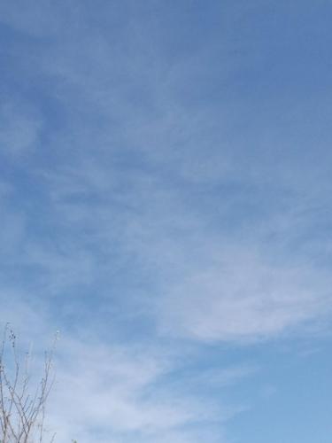 0a8ea971-f2ab-4321-a95d-043d595b7d2d