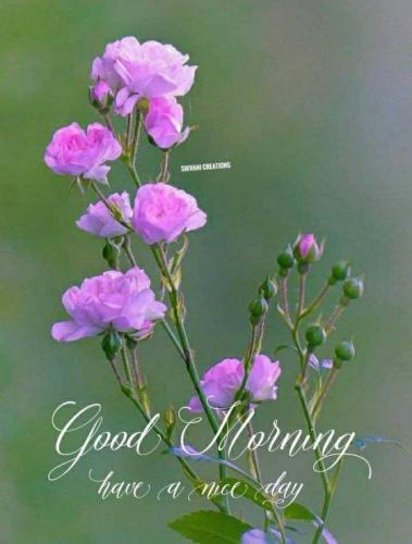 6e266e72-1328-4e12-8005-41335744861e