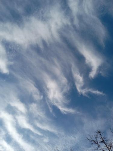 5a4767b3-3fe7-48f4-aa9e-d43f78e160e1