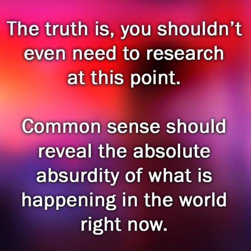 C0AF520B-04E2-4B68-94B6-01CE573AD124