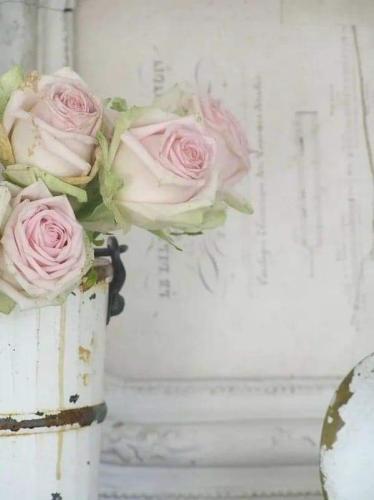 received_673051887312684