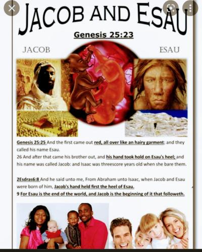 3dcfaea8-7d57-42f0-8f7b-47c5eeaff8c3