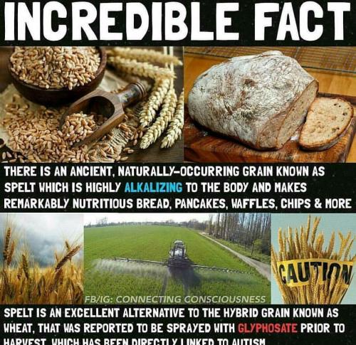 4ad88074-516e-4460-9386-505ba382ff67