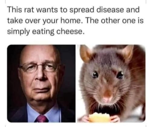 cbcbae33-d170-4f74-a9b4-87d220929e50