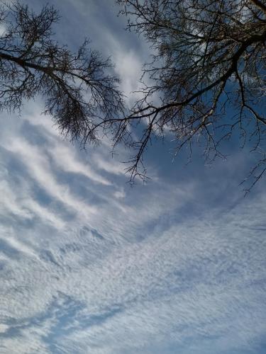 108ff02e-0dbb-429a-bb9c-04bc6274ddc3