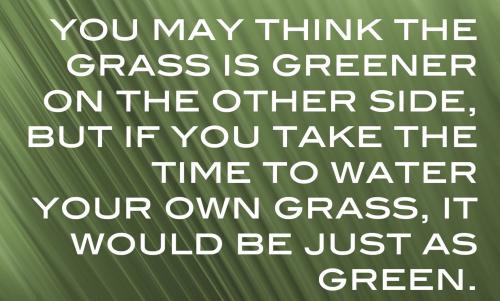 1-Grass is Greener