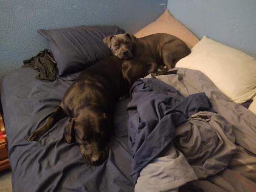 30a4ae98-40b3-403f-ab44-c8b5924ab168