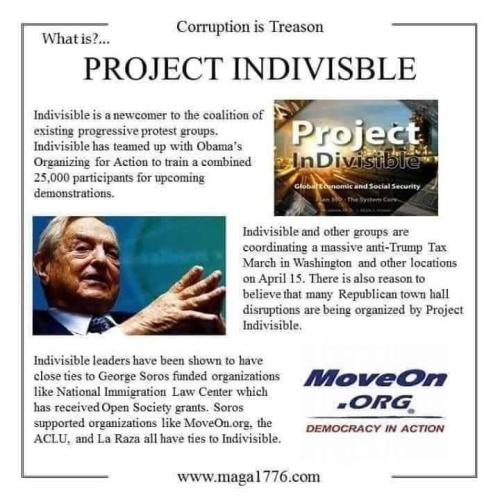 Project Indivisible 1