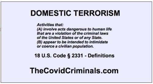 Domestic Terrorism Definition