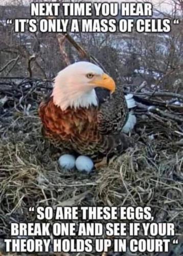 4ADCB35D-5FAE-4969-9D5E-73FF5185DFED