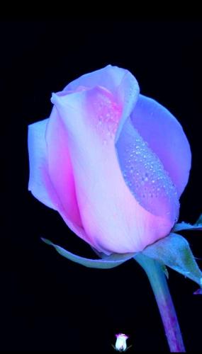 19:31:41 GMT-0500 (CDT)