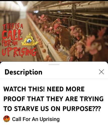 Screenshot_2022-05-11-19-27-06-020_com.google.android.youtube~2