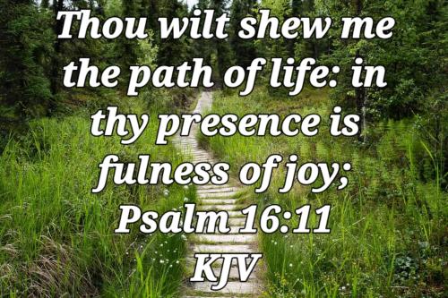 02:39:11 GMT-0700 (PDT)